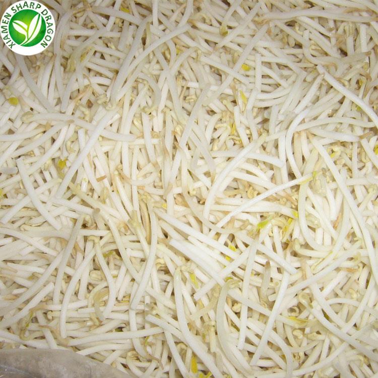 Buy frozen mung bean sprouts online