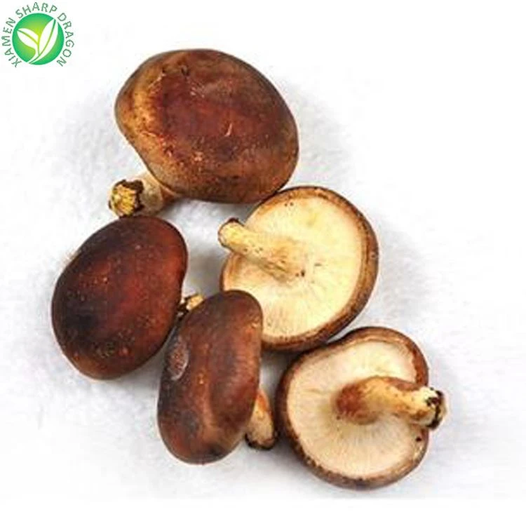 Hot Selling Best Price Frozen Export Shiitake Mushroom 