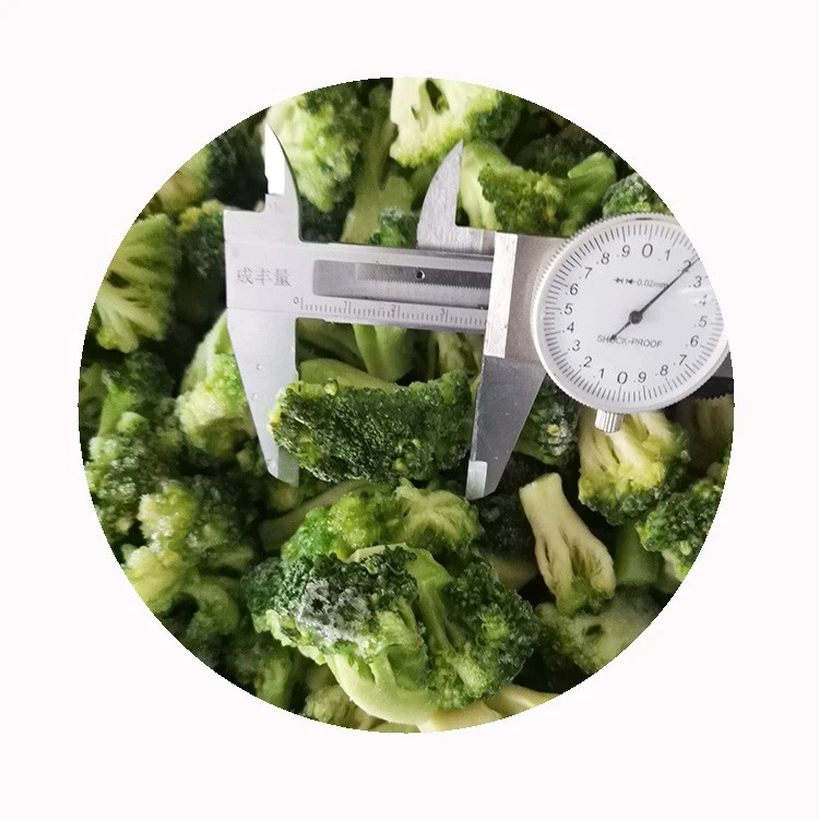 Measuring broccoli floret dimensions Dial caliper across a broccoli floret among cut pieces