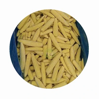 Tongkol Jagung Bayi Beku IQF