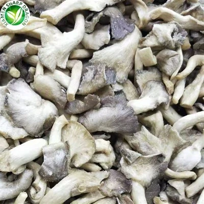 Irisan Pleurotus Ostreatus Kering