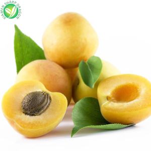 Produksi aprikot berdasarkan negara
