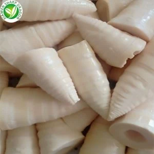 Irisan Rebung Bambu Kalengan