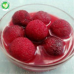 Bayberry Kalengan Dijual