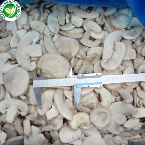 Beli Jamur Champignon