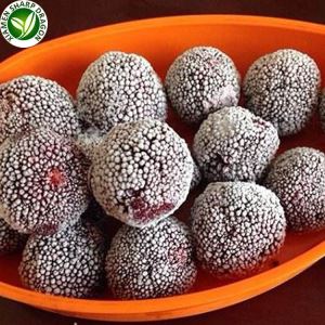 Bayberry Cina Dijual