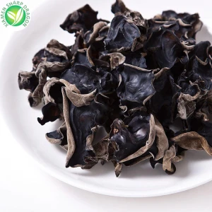 Jamur Hitam Kering