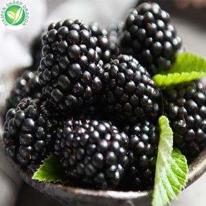 IQF Wholesale Blackberry Frozen