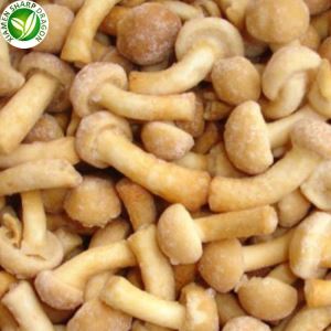 Harga Jamur Nameko