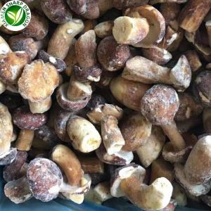 Jamur Boletus Irisan Beku