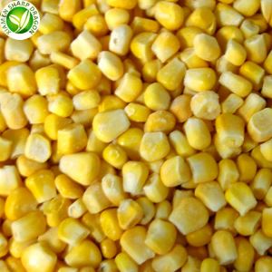 Jagung Kuning Manis