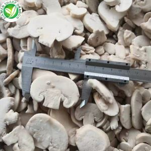 Harga Jamur Putih