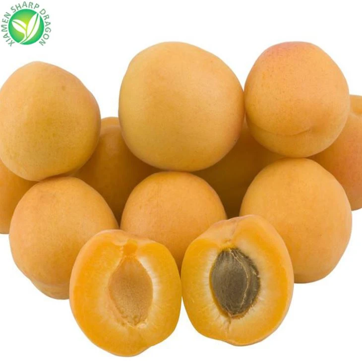 Yellow Apricot Fruit