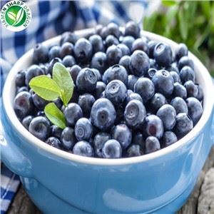 Rasa Blueberry Beku
