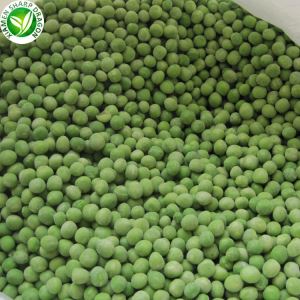 Proses Pembuatan Kacang Hijau Beku