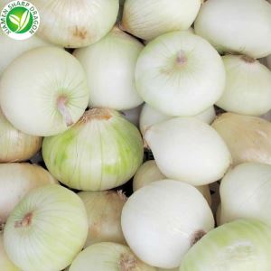 Bawang Utuh Beku IQF dalam Pilihan Kupas dan Kulit