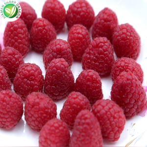 Harga buah raspberry beku per kg