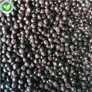 Blackcurrant beku berkualitas tinggi