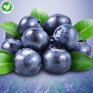 Blueberry Beku dengan Foto Inspeksi dan Pengepakan