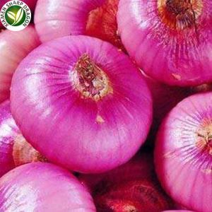 Red bawang manfaat