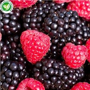 Raspberry beku paling hemat biaya