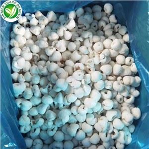 Harga grosir leci beku