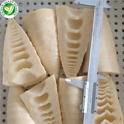 Rebung Kalengan untuk Pesanan Kontainer 20 ft