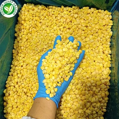 Benih Langka Cina Jagung Beku