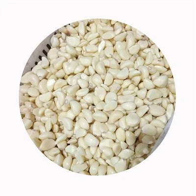 Membekukan Bawang Putih Segar